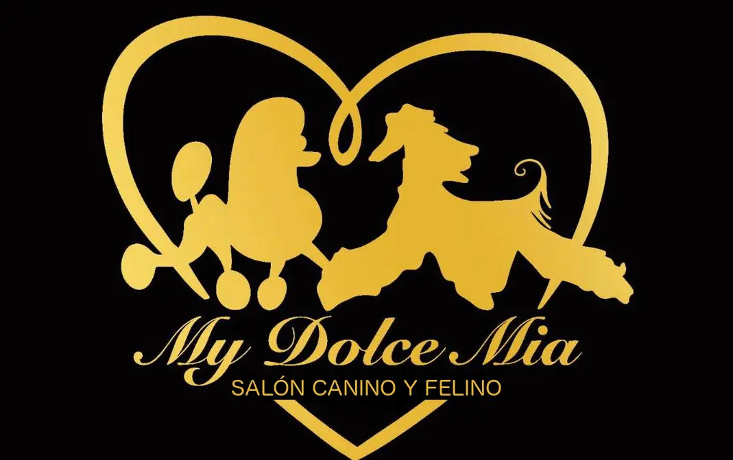 my-dolce-logo-ok